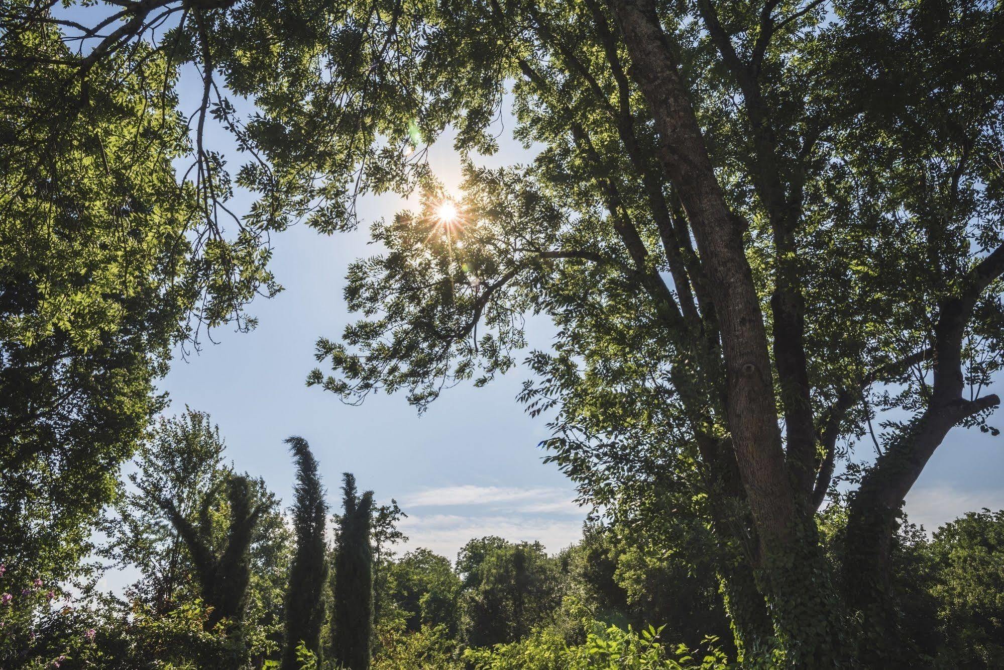 Domaine De Terrac Bed and Breakfast Rimont Esterno foto